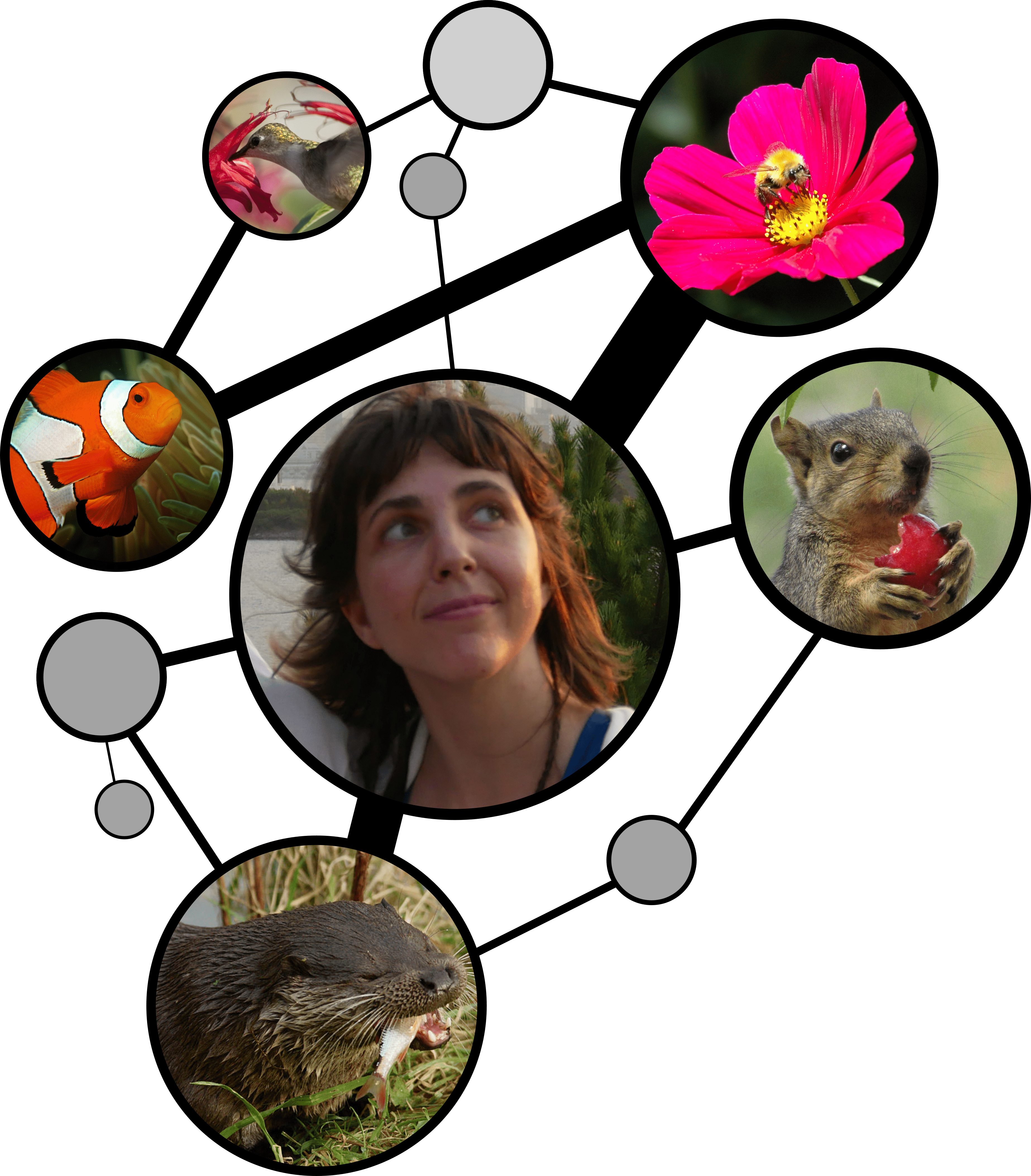 Virginia Domínguez-García surrounded by species from her study systems, connected as a network